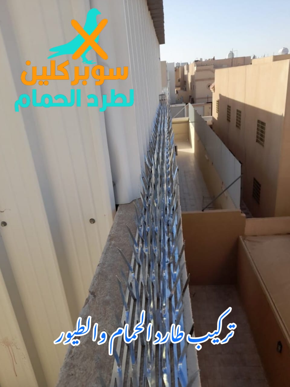 افضلر شركة مكافحة الحمام بالرياض